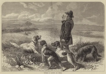 ポインターとセッターの侵入